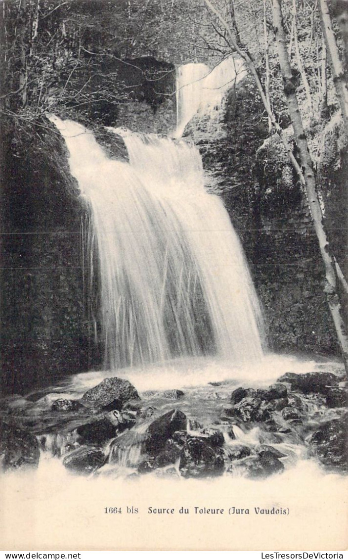 SUISSE - Source Du Toleure - Jura Vaudois - Carte Postale Ancienne - Sonstige & Ohne Zuordnung