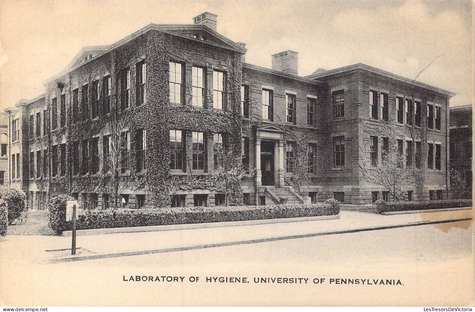 ETATS-UNIS - Pennsylvania - Laboratory Of Hygiene - University Of Pennsylvania - Carte Postale Ancienne - Autres & Non Classés