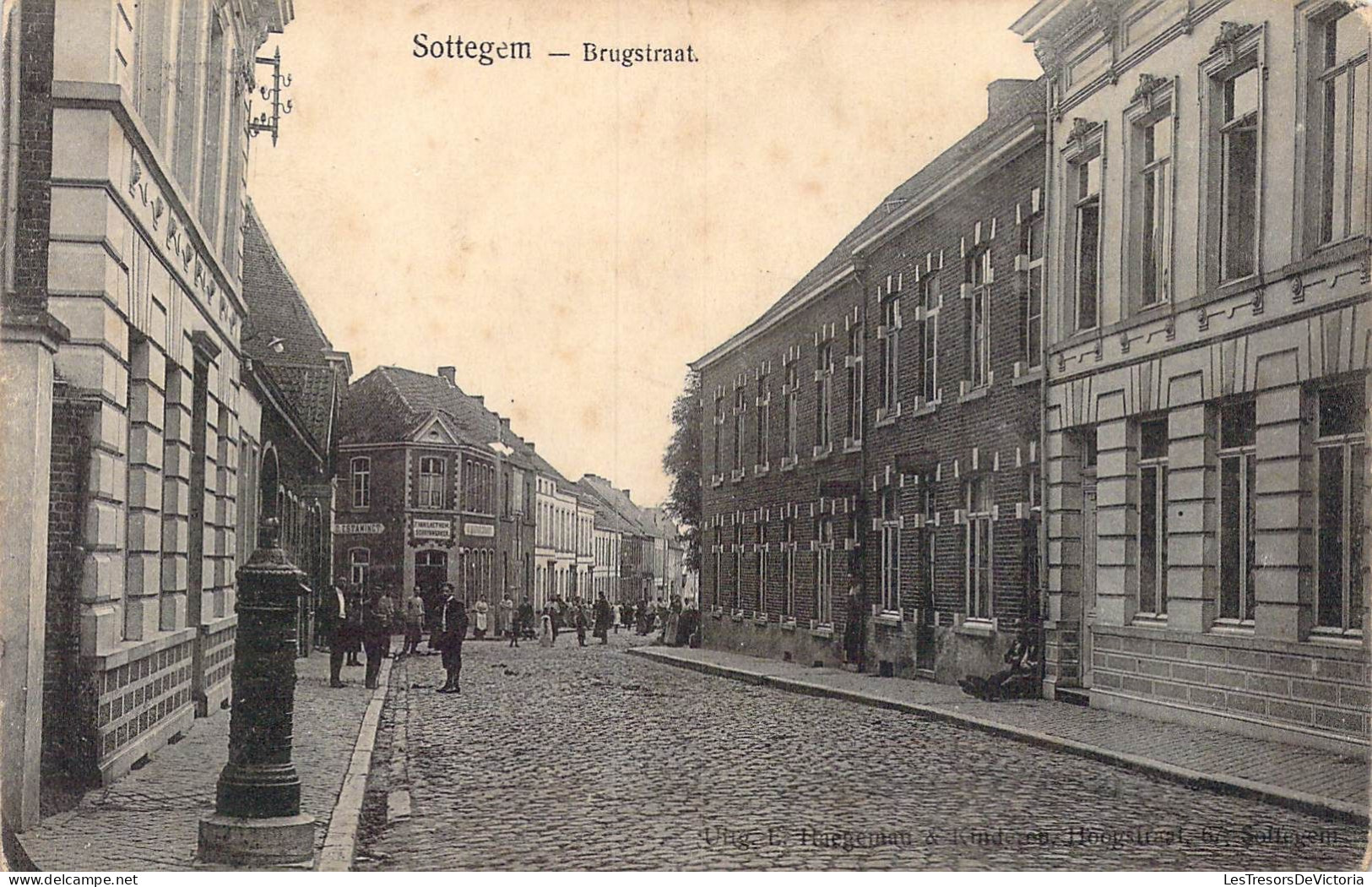 BELGIQUE - Zottegem - Brugstraat - Carte Postale Ancienne - Zottegem