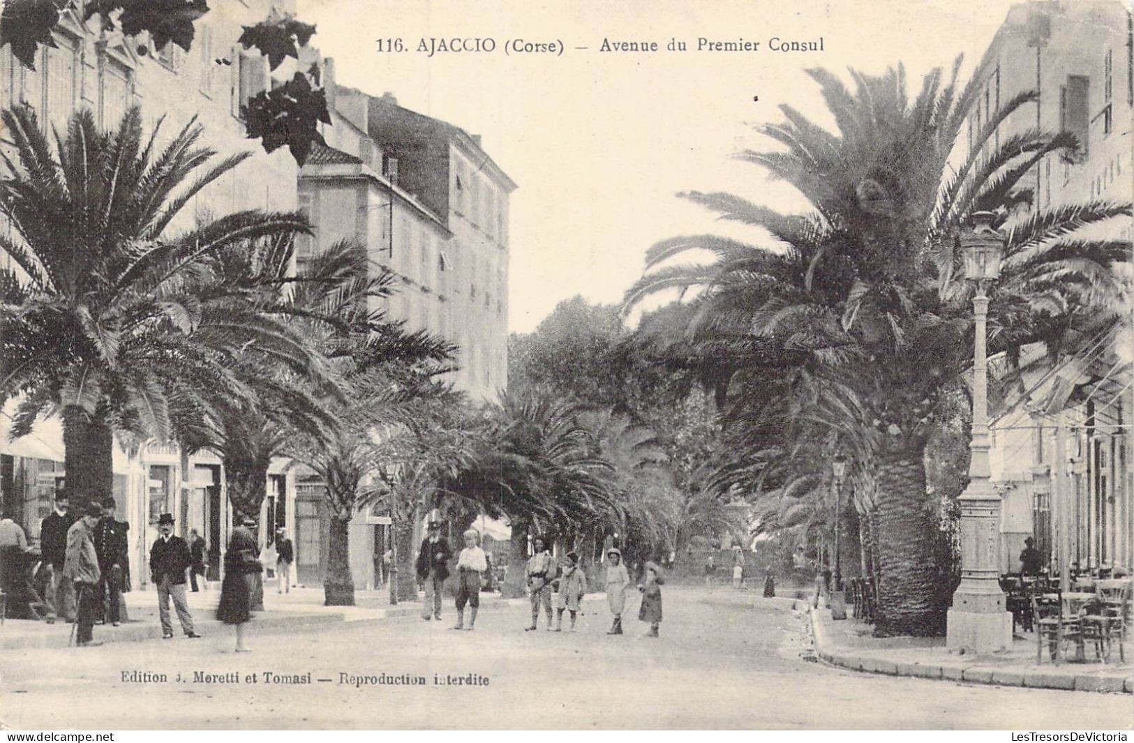 FRANCE - 2A - Ajaccio - Avenue Du Premier Consul - Carte Postale Ancienne - Ajaccio