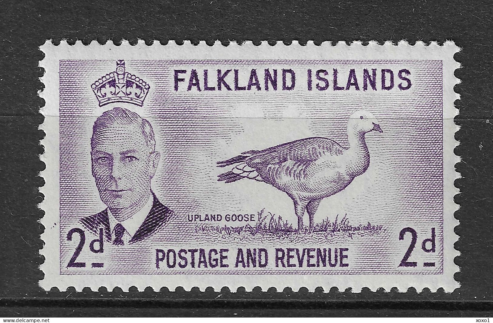 Falkland Islands 1952 MiNr. 104 Falklandinseln Birds Upland Goose 1v MNH**  6,00 € - Oies