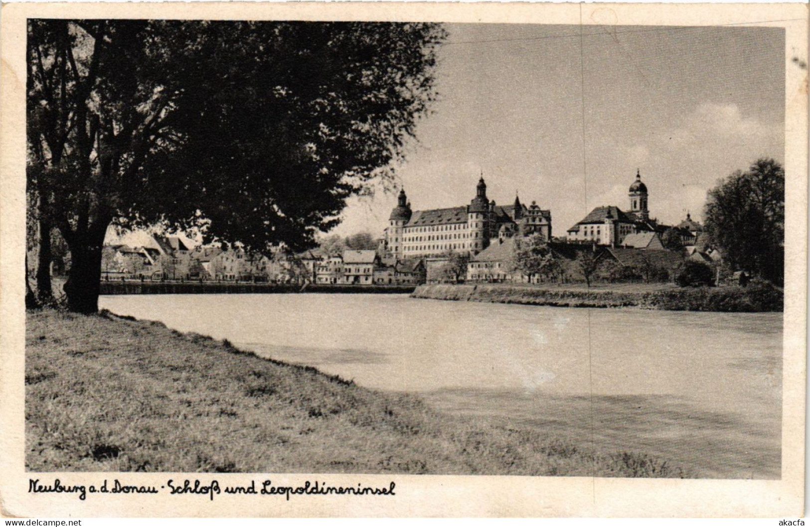 CPA AK Neuburg A.D. Schloß Und Leopoldineninsel GERMANY (875903) - Neuburg