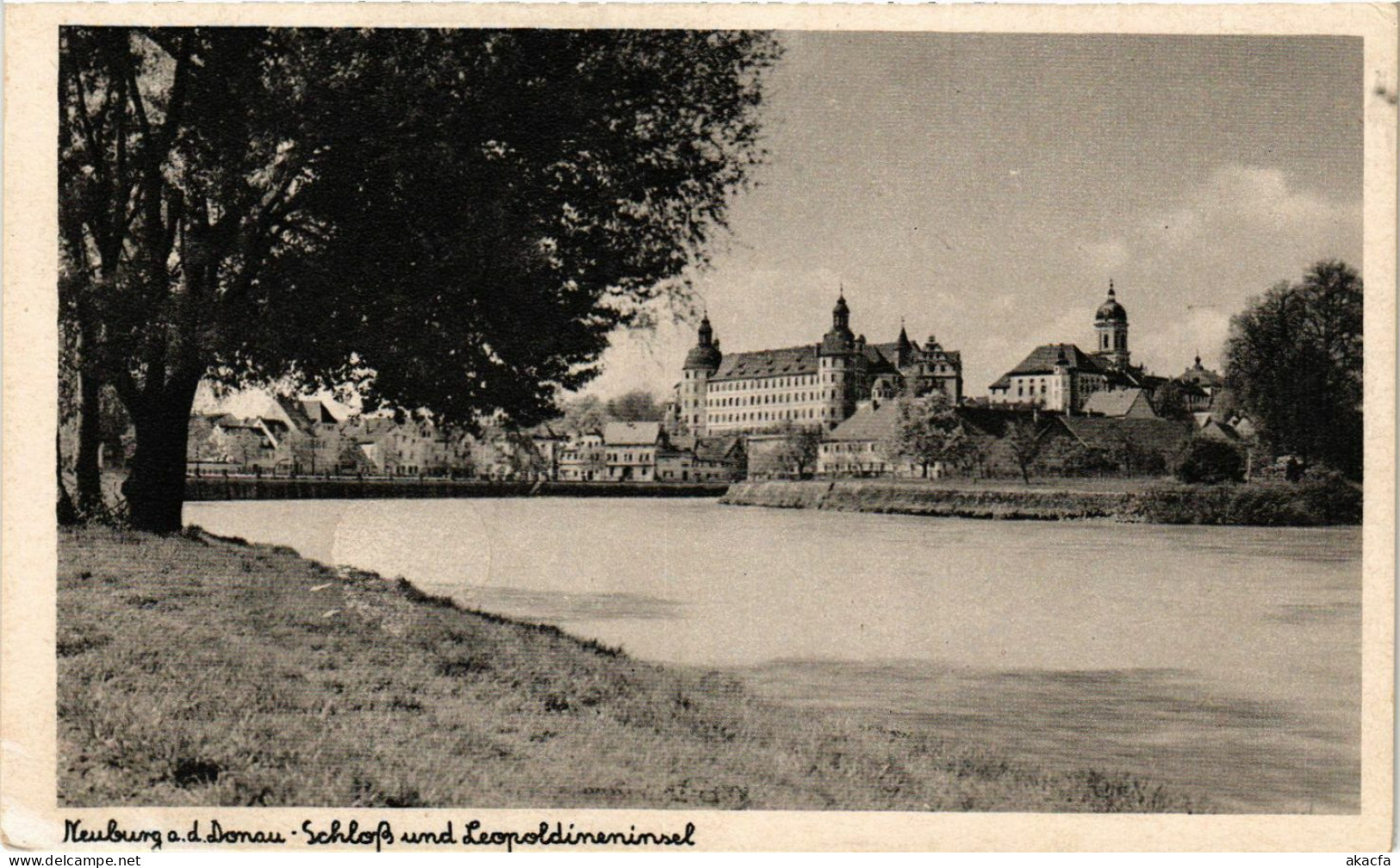 CPA AK Neuburg A.D. Schloß Und Leopoldineninsel GERMANY (875904) - Neuburg