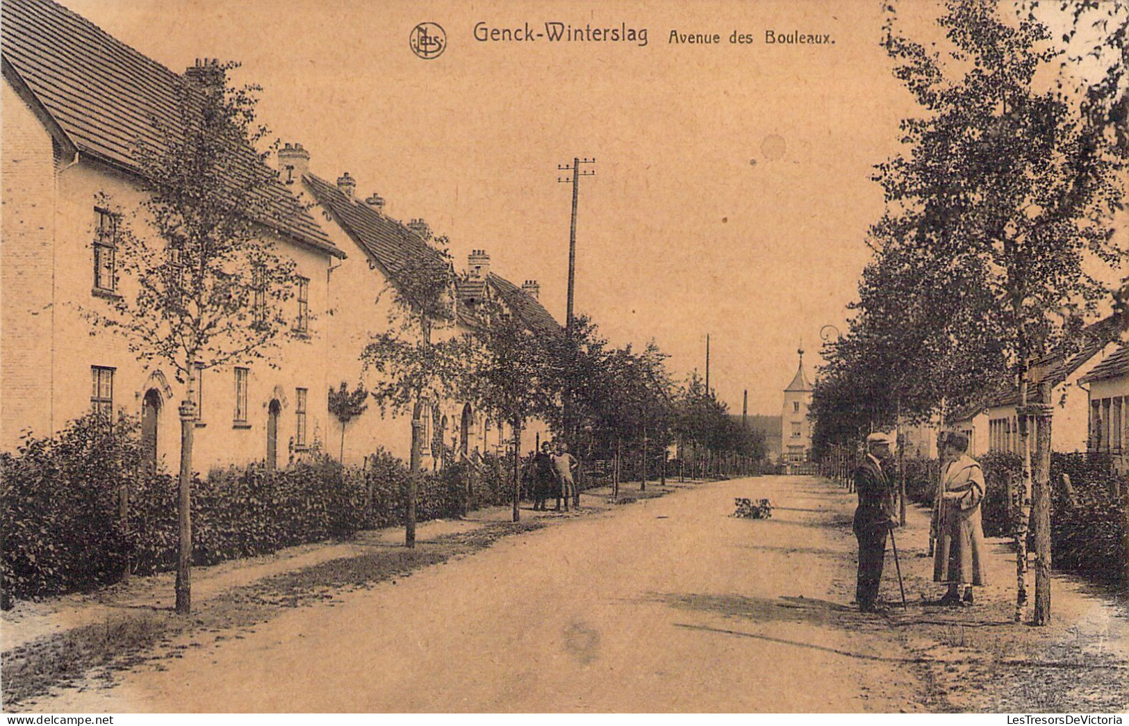 BELGIQUE - GENK - Avenue Des Bouleaux - Carte Postale Ancienne - Genk