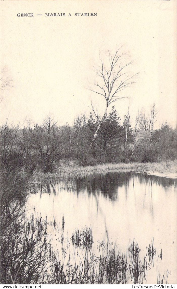 BELGIQUE - GENK - Marais à Staelen - Carte Postale Ancienne - Genk