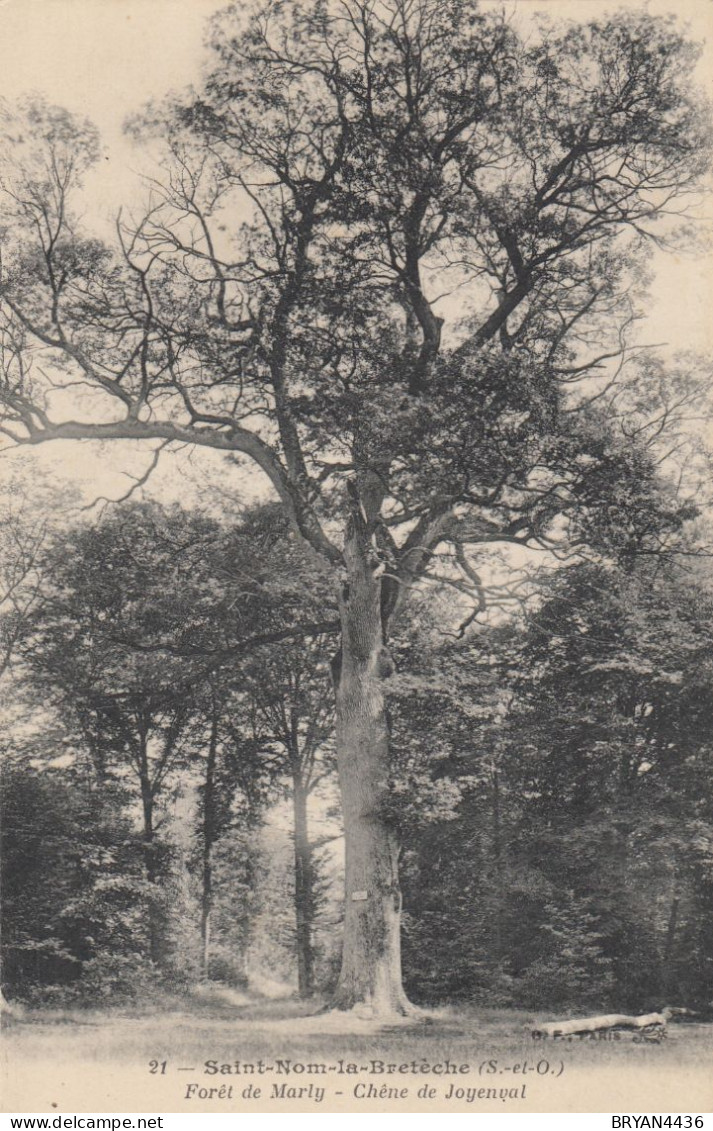 78 - SAINT NOM LA BRETECHE - FORÊT DE MARLY - CHÊNE DE JOYENVAL - VOIR DEUX SCANS - St. Nom La Breteche