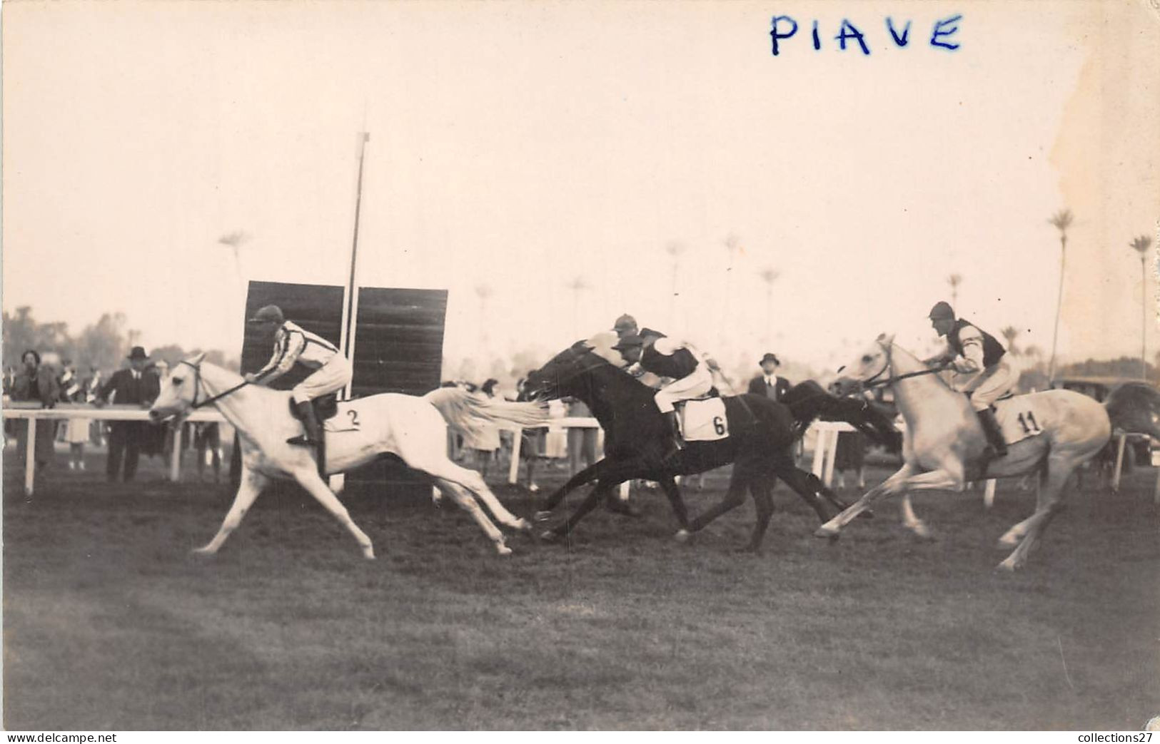 LOT DE 42 CARTES PHOTO -1934 / 1937 - CHEVAUX DE COURSE- HIPPODROME DU CAIRE EGYPTE