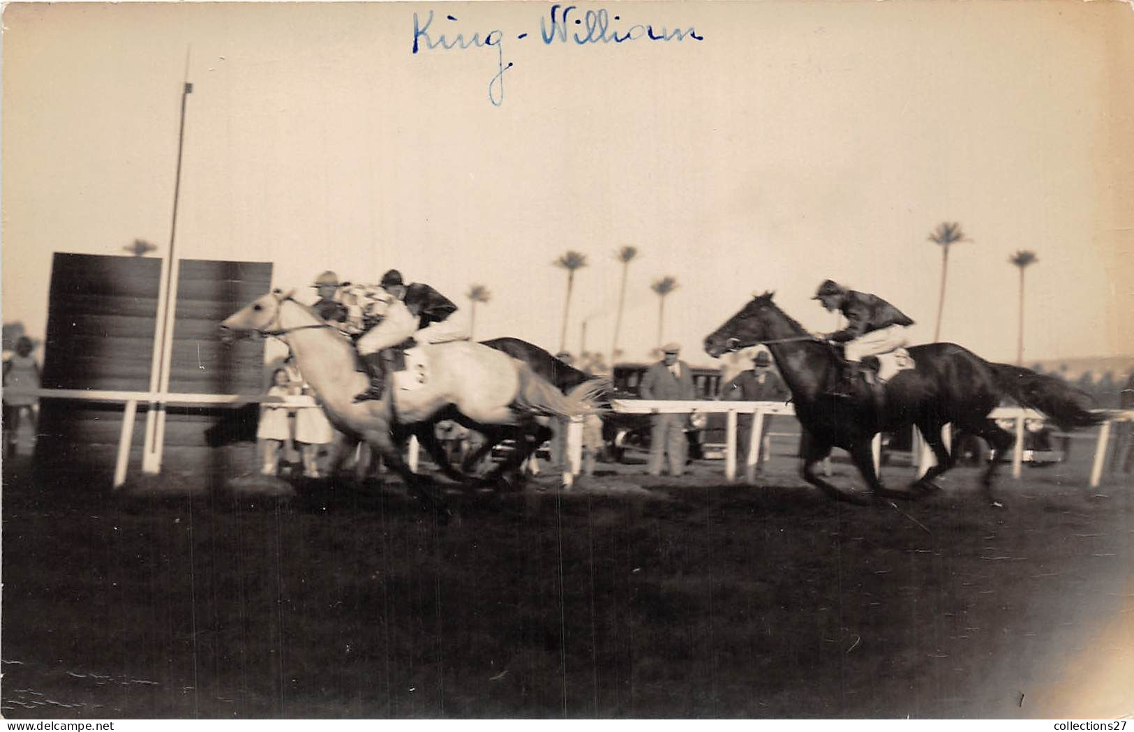 LOT DE 42 CARTES PHOTO -1934 / 1937 - CHEVAUX DE COURSE- HIPPODROME DU CAIRE EGYPTE