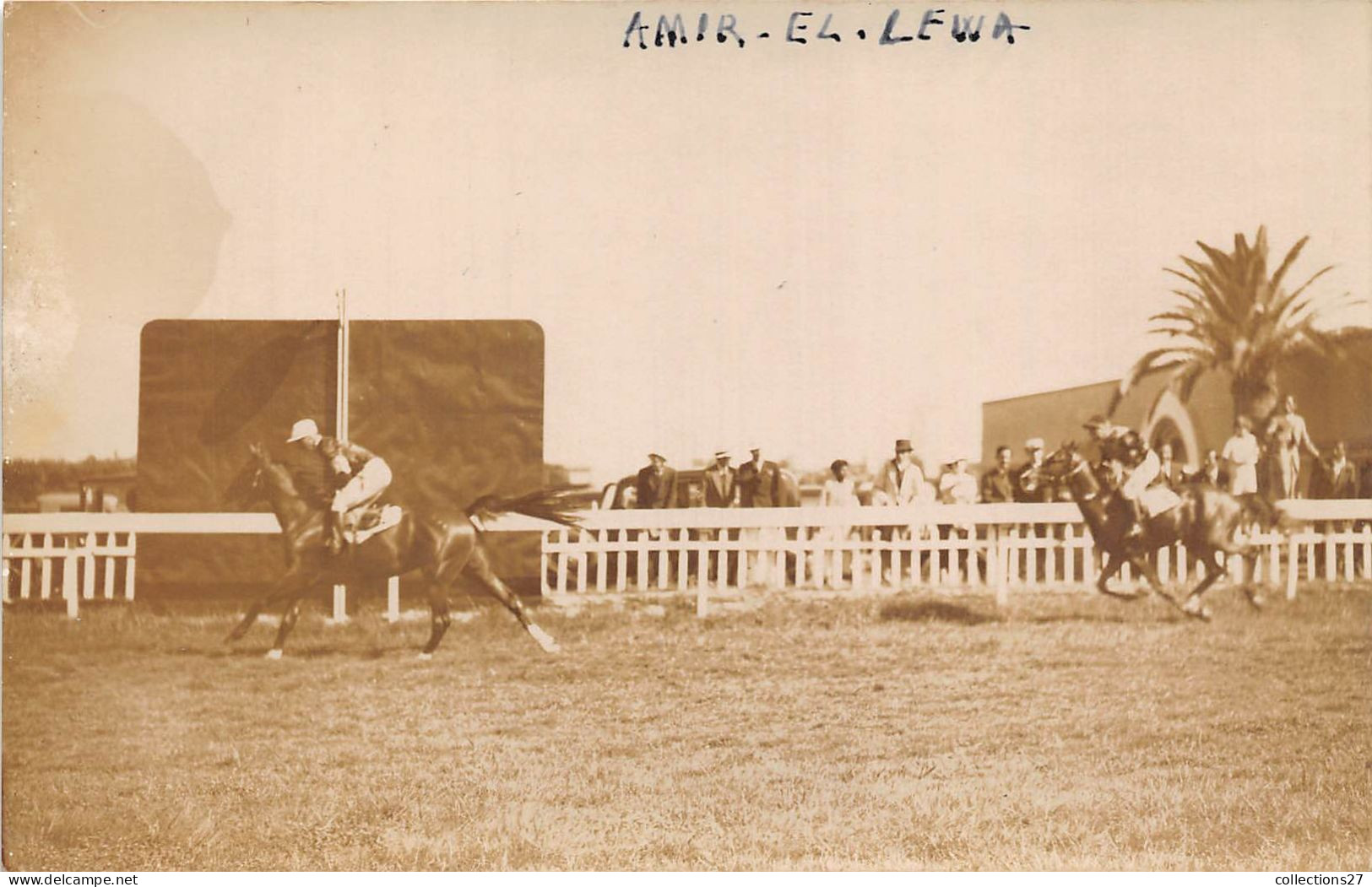 LOT DE 42 CARTES PHOTO -1934 / 1937 - CHEVAUX DE COURSE- HIPPODROME DU CAIRE EGYPTE