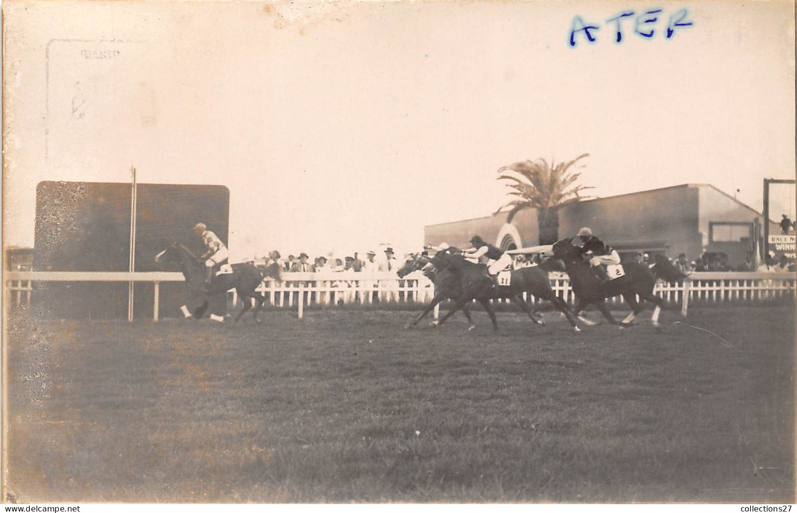 LOT DE 42 CARTES PHOTO -1934 / 1937 - CHEVAUX DE COURSE- HIPPODROME DU CAIRE EGYPTE