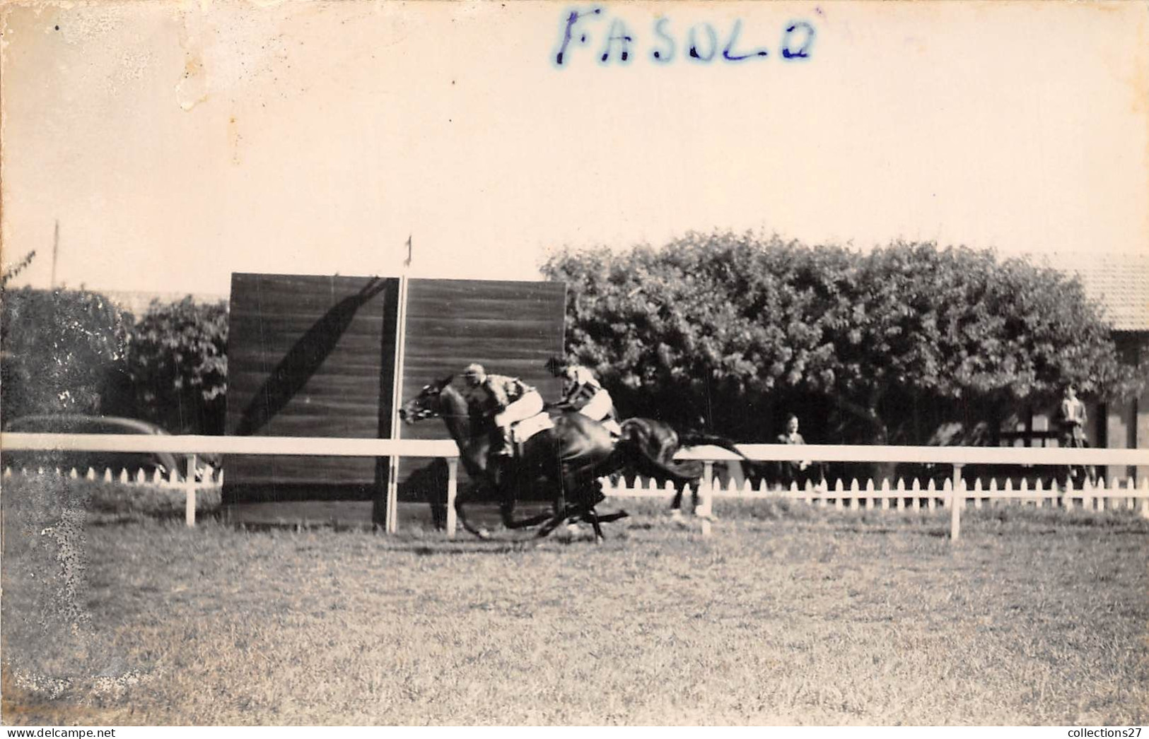 LOT DE 42 CARTES PHOTO -1934 / 1937 - CHEVAUX DE COURSE- HIPPODROME DU CAIRE EGYPTE