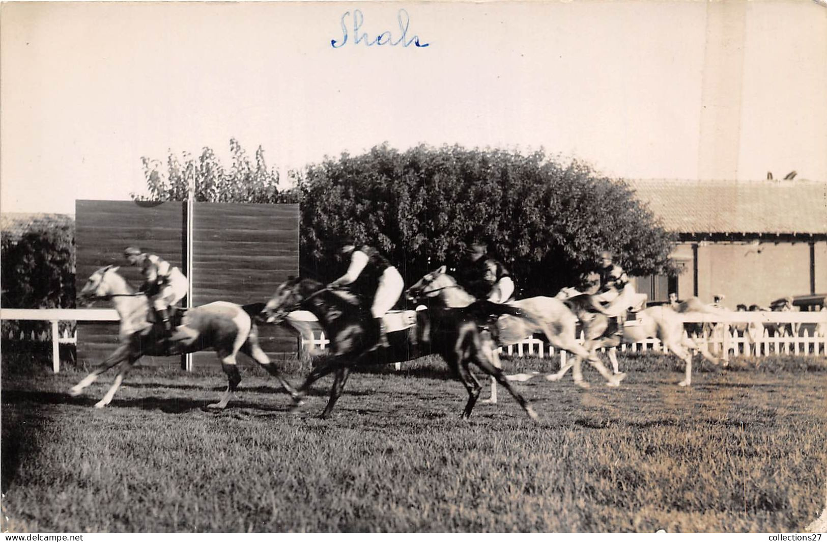 LOT DE 42 CARTES PHOTO -1934 / 1937 - CHEVAUX DE COURSE- HIPPODROME DU CAIRE EGYPTE