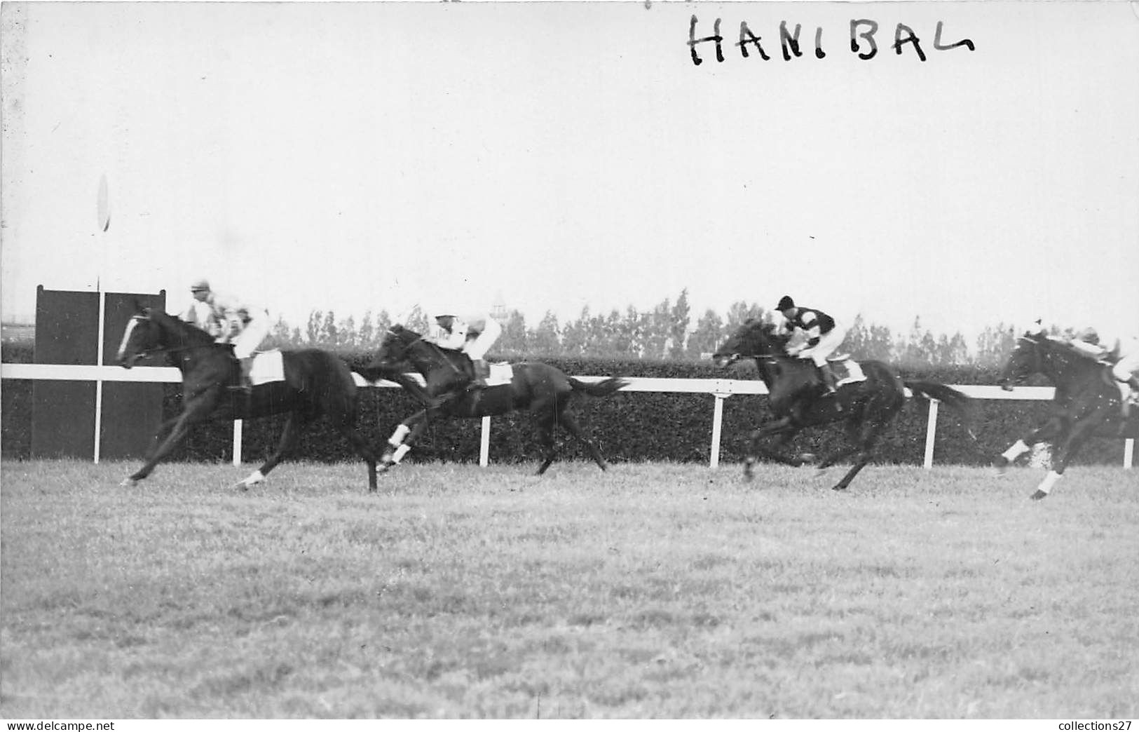 LOT DE 42 CARTES PHOTO -1934 / 1937 - CHEVAUX DE COURSE- HIPPODROME DU CAIRE EGYPTE