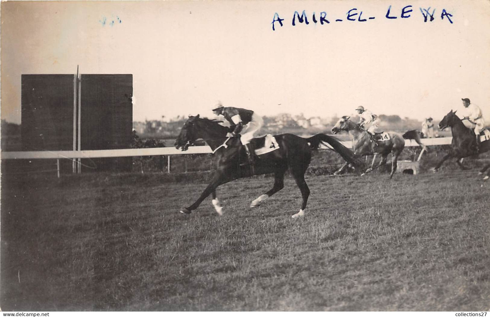 LOT DE 42 CARTES PHOTO -1934 / 1937 - CHEVAUX DE COURSE- HIPPODROME DU CAIRE EGYPTE