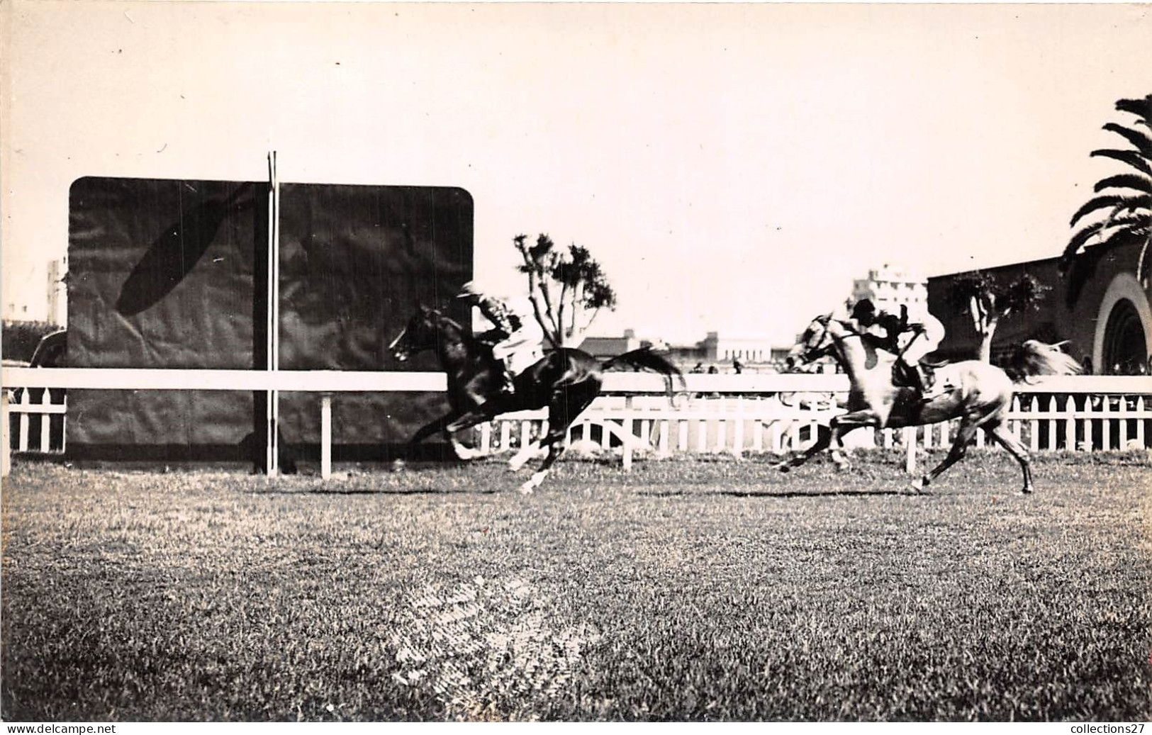 LOT DE 42 CARTES PHOTO -1934 / 1937 - CHEVAUX DE COURSE- HIPPODROME DU CAIRE EGYPTE