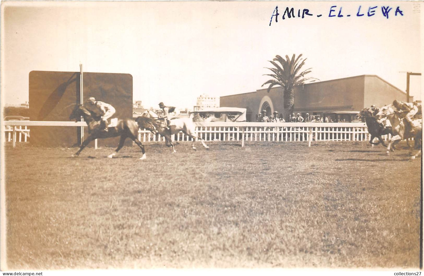 LOT DE 42 CARTES PHOTO -1934 / 1937 - CHEVAUX DE COURSE- HIPPODROME DU CAIRE EGYPTE