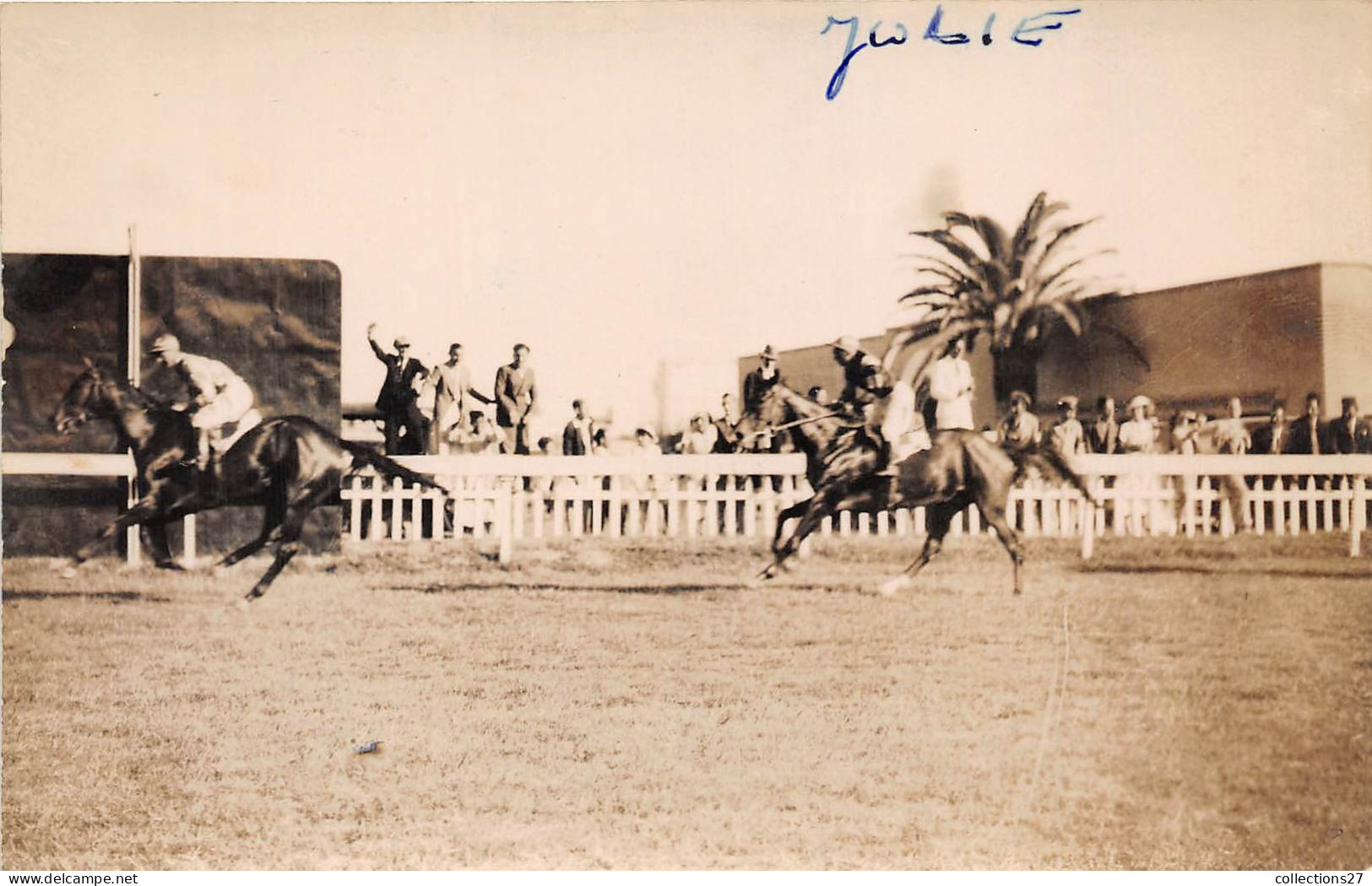 LOT DE 42 CARTES PHOTO -1934 / 1937 - CHEVAUX DE COURSE- HIPPODROME DU CAIRE EGYPTE