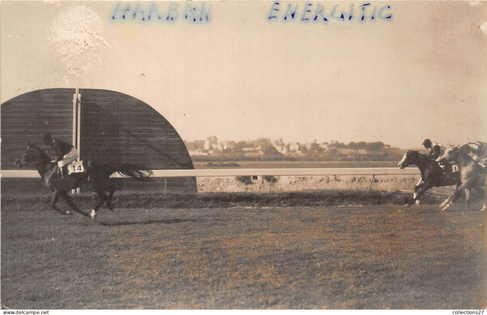 LOT DE 42 CARTES PHOTO -1934 / 1937 - CHEVAUX DE COURSE- HIPPODROME DU CAIRE EGYPTE