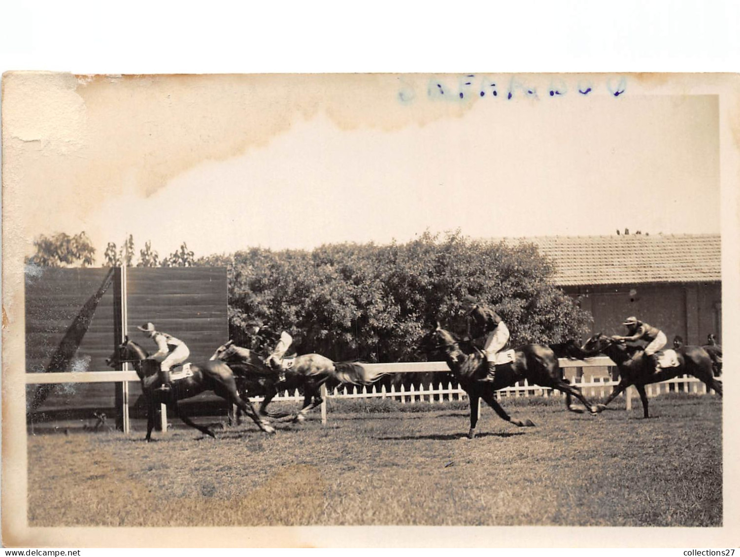 LOT DE 42 CARTES PHOTO -1934 / 1937 - CHEVAUX DE COURSE- HIPPODROME DU CAIRE EGYPTE