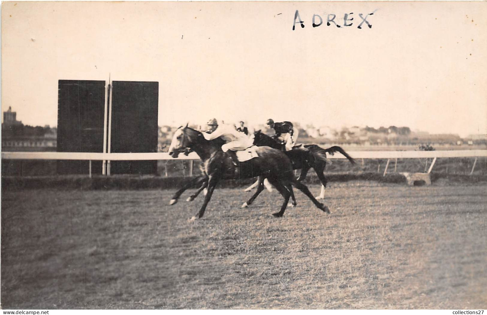 LOT DE 42 CARTES PHOTO -1934 / 1937 - CHEVAUX DE COURSE- HIPPODROME DU CAIRE EGYPTE