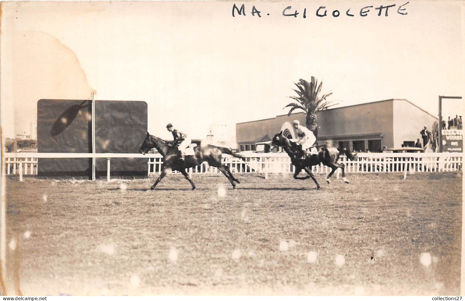 LOT DE 42 CARTES PHOTO -1934 / 1937 - CHEVAUX DE COURSE- HIPPODROME DU CAIRE EGYPTE