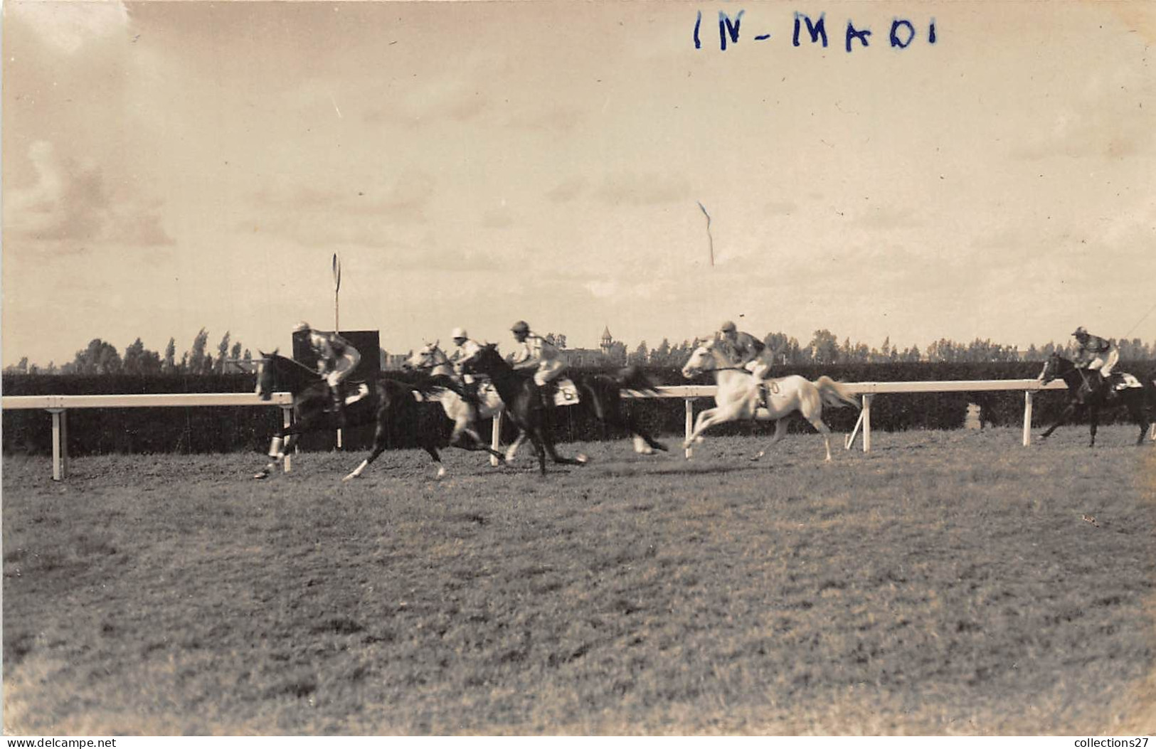 LOT DE 42 CARTES PHOTO -1934 / 1937 - CHEVAUX DE COURSE- HIPPODROME DU CAIRE EGYPTE