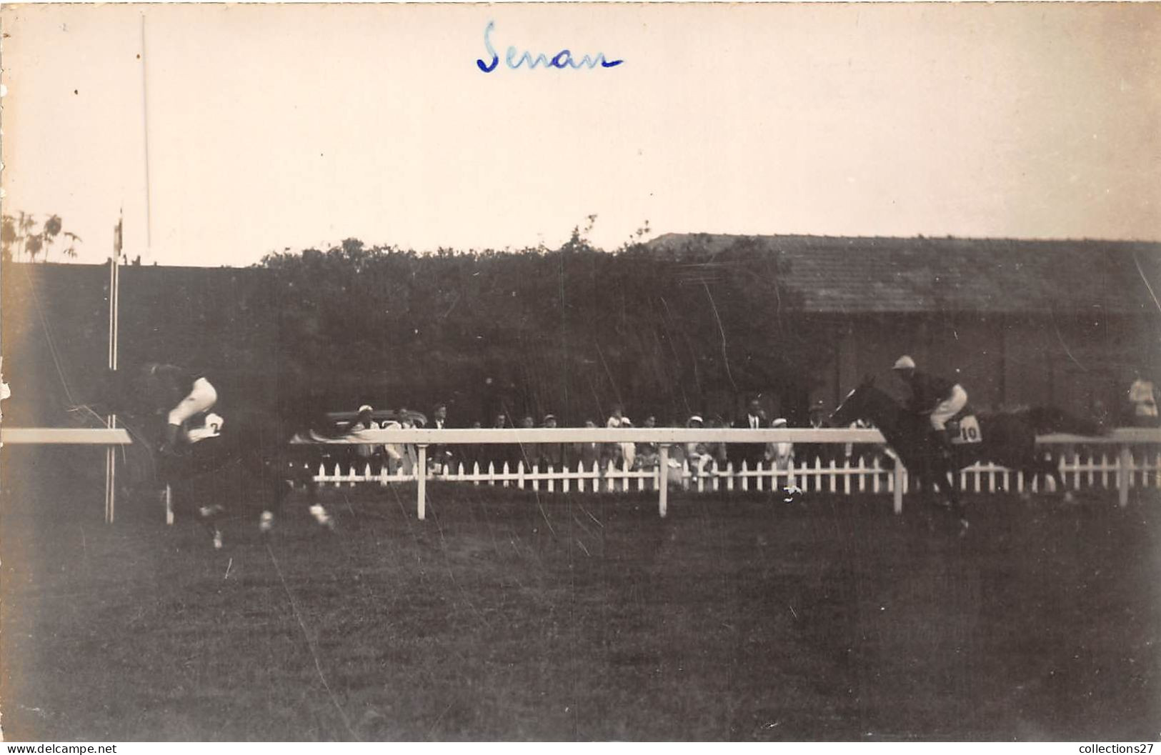 LOT DE 42 CARTES PHOTO -1934 / 1937 - CHEVAUX DE COURSE- HIPPODROME DU CAIRE EGYPTE