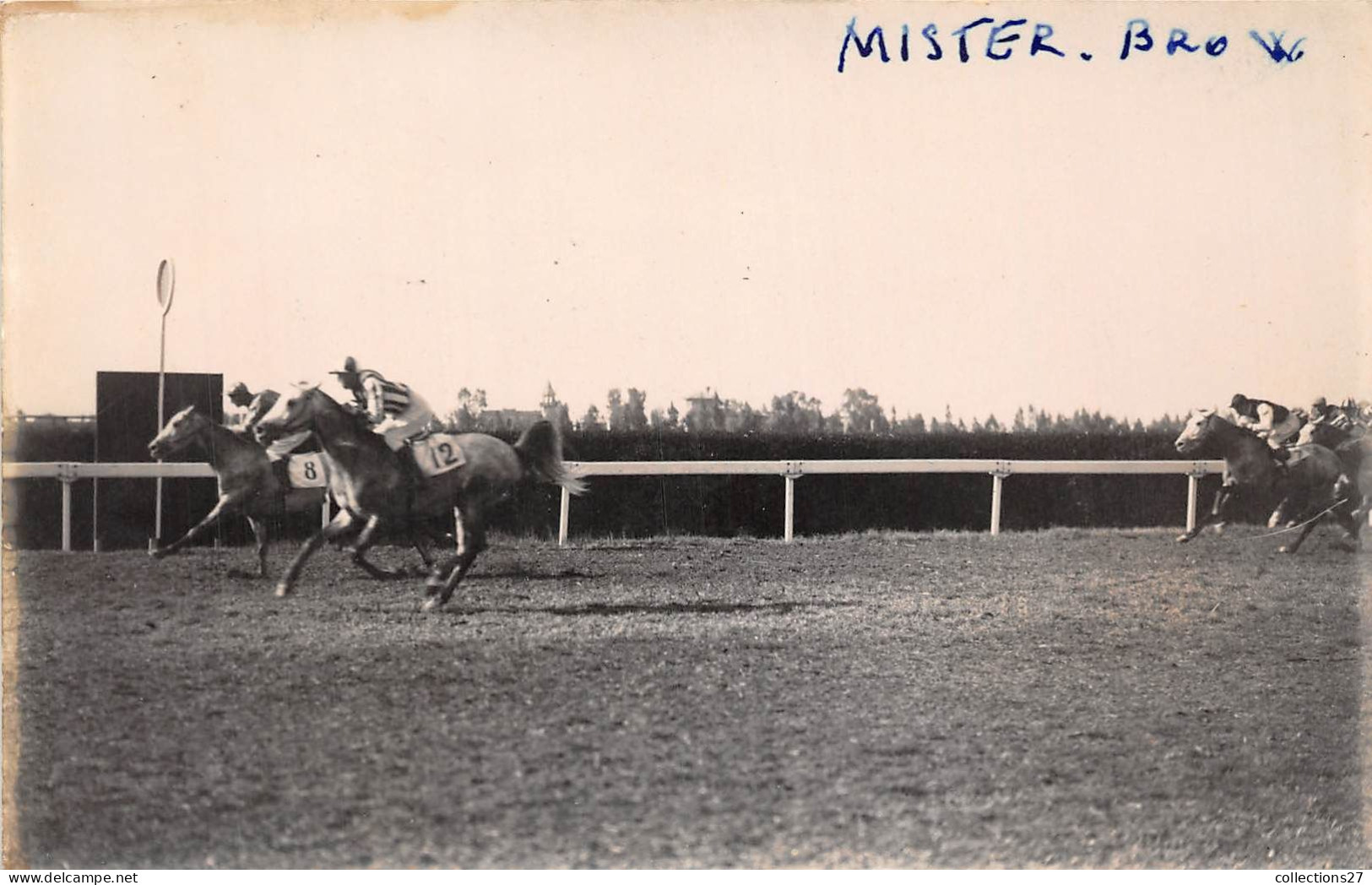 LOT DE 42 CARTES PHOTO -1934 / 1937 - CHEVAUX DE COURSE- HIPPODROME DU CAIRE EGYPTE