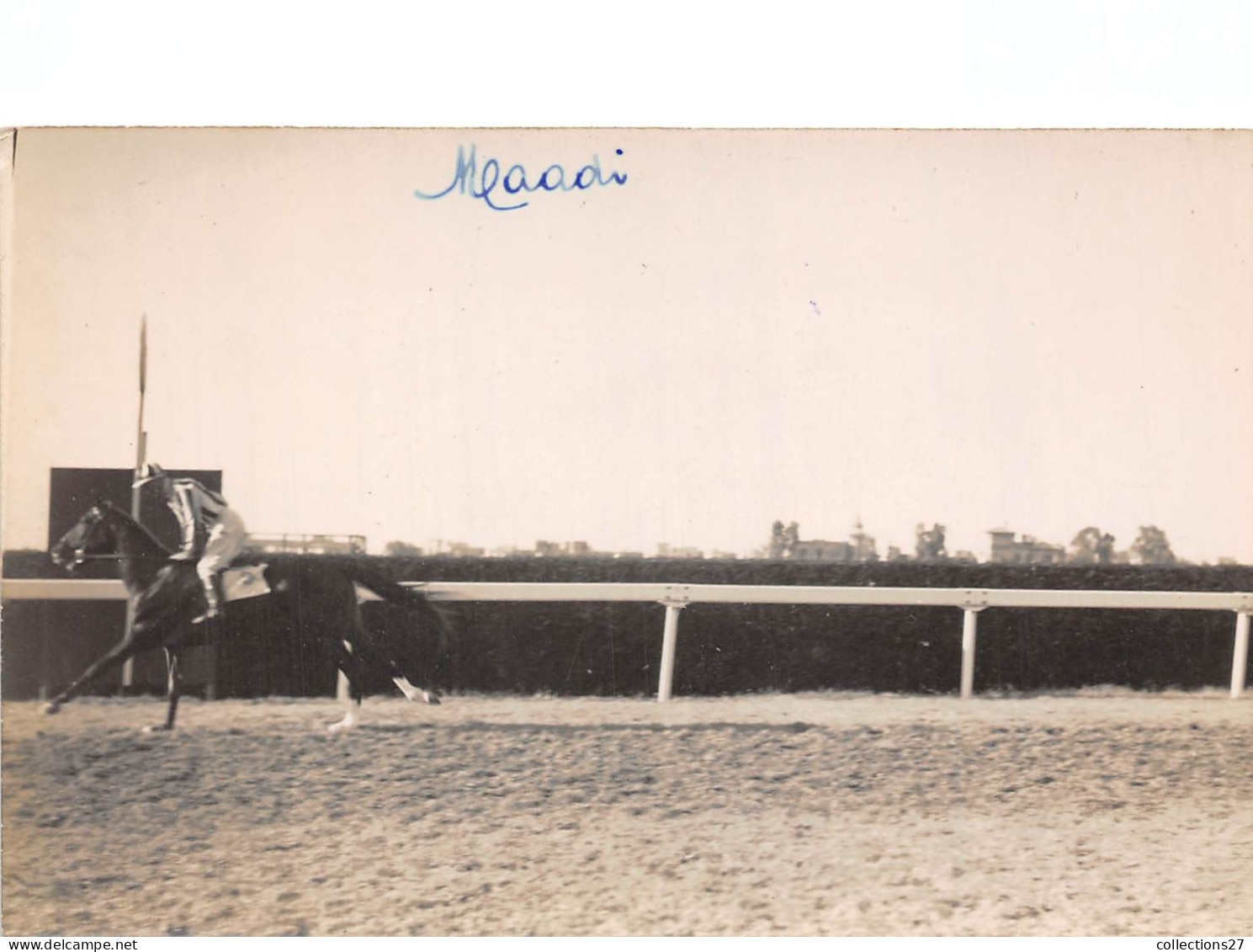 LOT DE 42 CARTES PHOTO -1934 / 1937 - CHEVAUX DE COURSE- HIPPODROME DU CAIRE EGYPTE