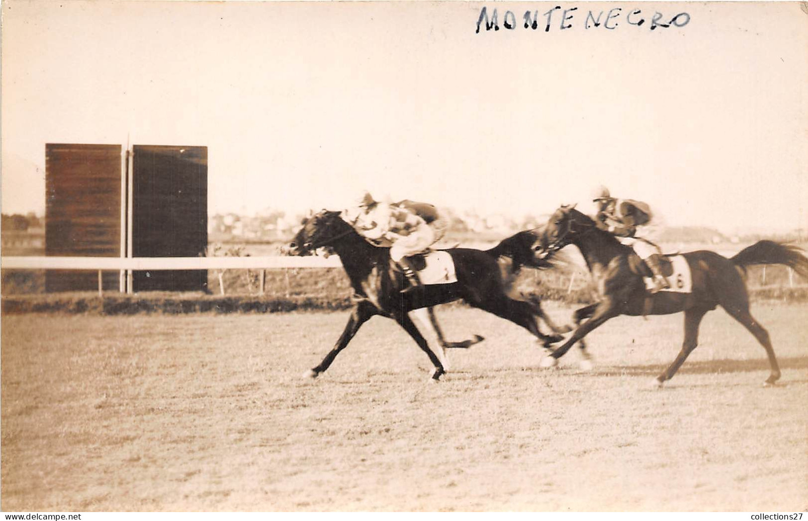 LOT DE 42 CARTES PHOTO -1934 / 1937 - CHEVAUX DE COURSE- HIPPODROME DU CAIRE EGYPTE