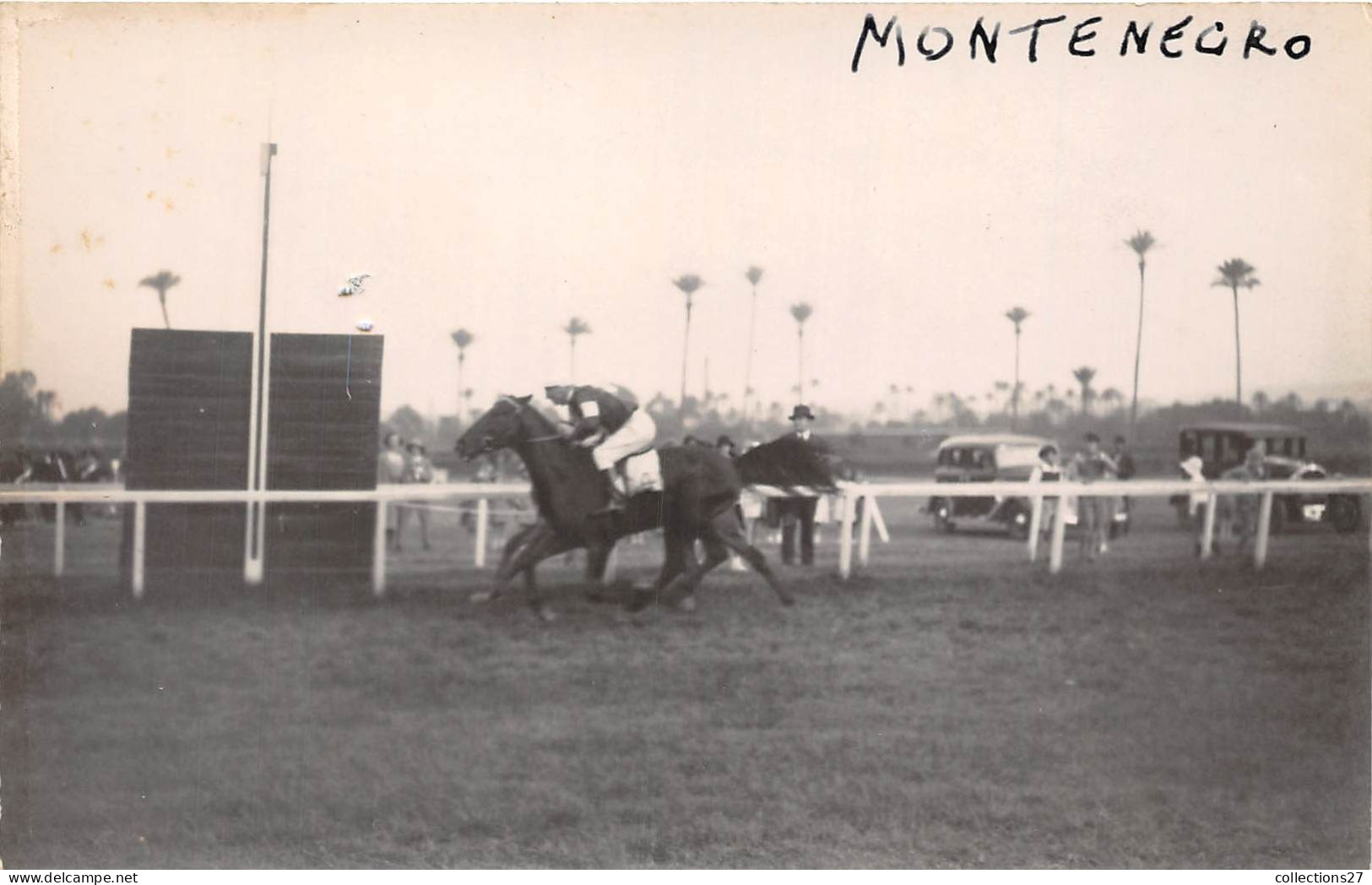 LOT DE 42 CARTES PHOTO -1934 / 1937 - CHEVAUX DE COURSE- HIPPODROME DU CAIRE EGYPTE