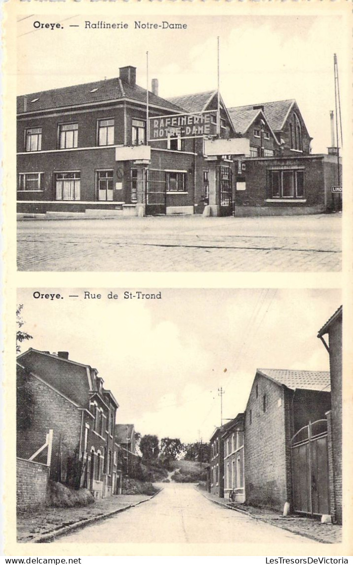 BELGIQUE - OREYE - Rafinerie Notre Dame - Rue De St Trond - Carte Postale Ancienne - Oreye
