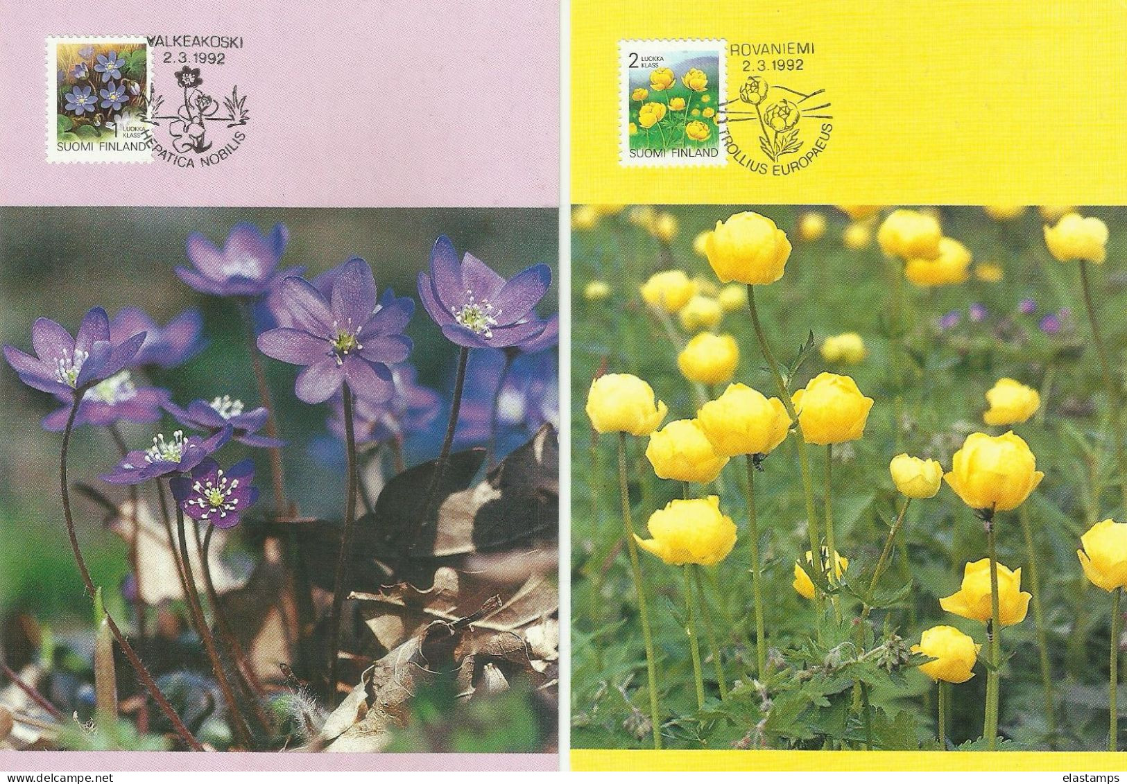 FINNLAND  MC1992 BLUMEN - Cartoline Maximum