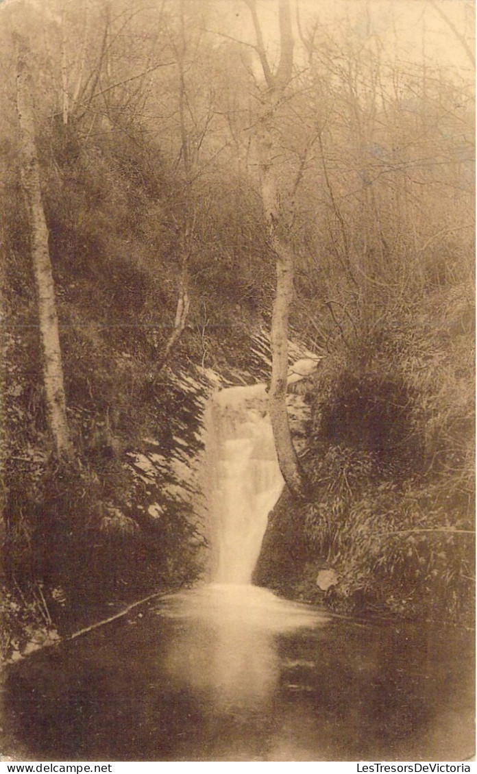 BELGIQUE - Environs De Remouchamps - Bain De Dlane - Carte Postale Ancienne - Other & Unclassified