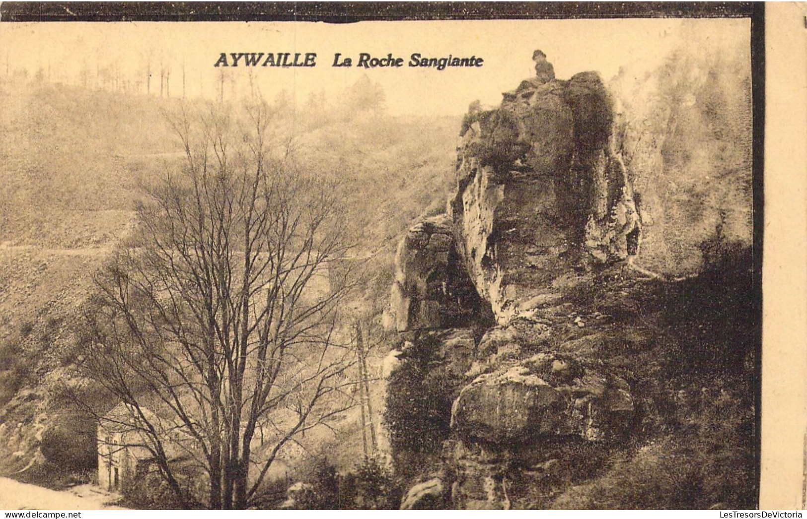 BELGIQUE - Aywaille - La Roche Sanglante - Carte Postale Ancienne - Aywaille