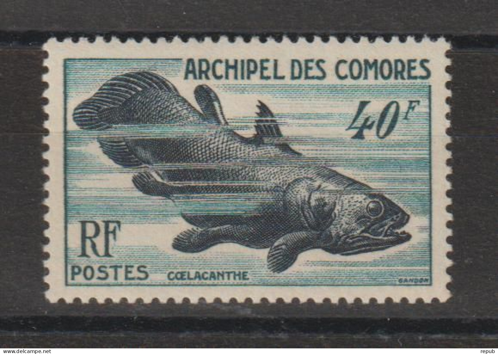 Comores 1954 Faune Marine 13, 1 Val * Charnière MH - Unused Stamps