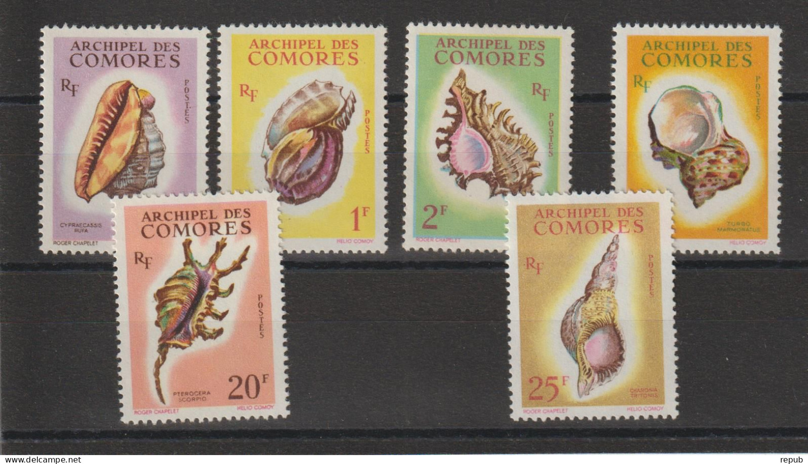 Comores 1962 Coquillages 19-24, 6 Val ** MNH - Ongebruikt