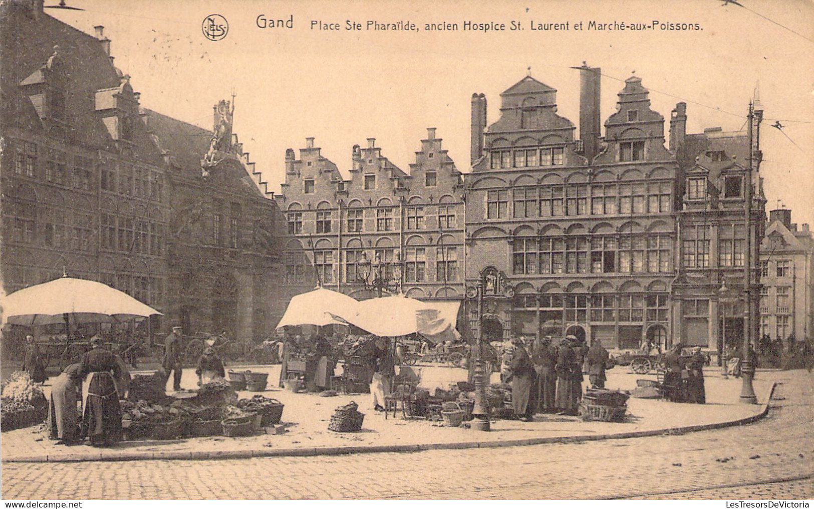 BELGIQUE - GAND - Place Ste Pharaïlde - Ancien Hospice St Laurent Et Marché Aux Poissons - Carte Postale Ancienne - Gent