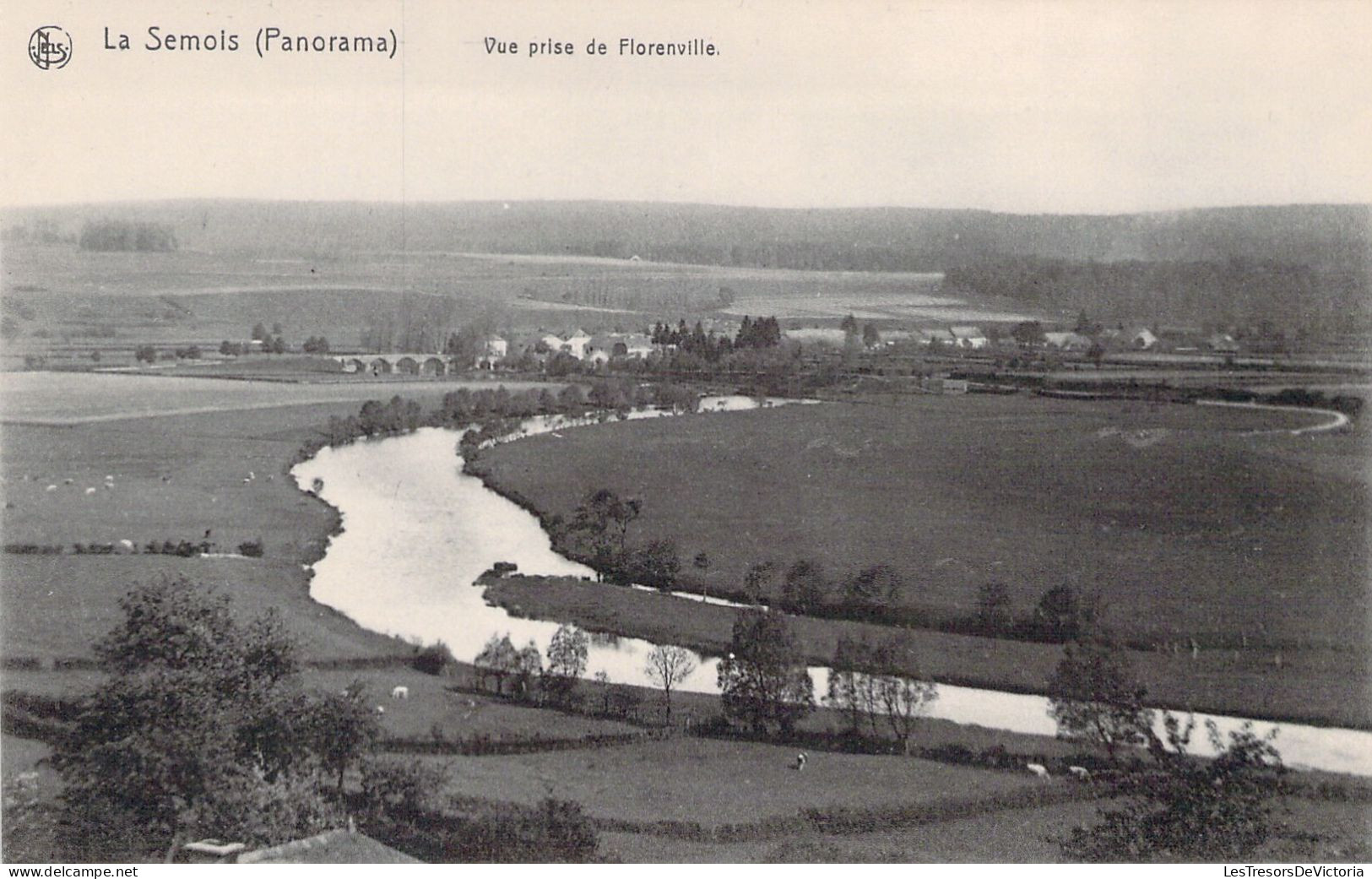 BELGIQUE - FLORENVILLE - La Semois - Vue Prise De Florenville - Carte Postale Ancienne - Sonstige & Ohne Zuordnung