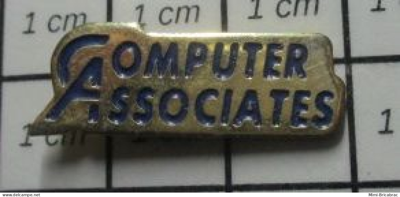 520 Pin's Pins / Beau Et Rare / THEME : INFORMATIQUE / COMPUTER ASSOCIATES - Informatique