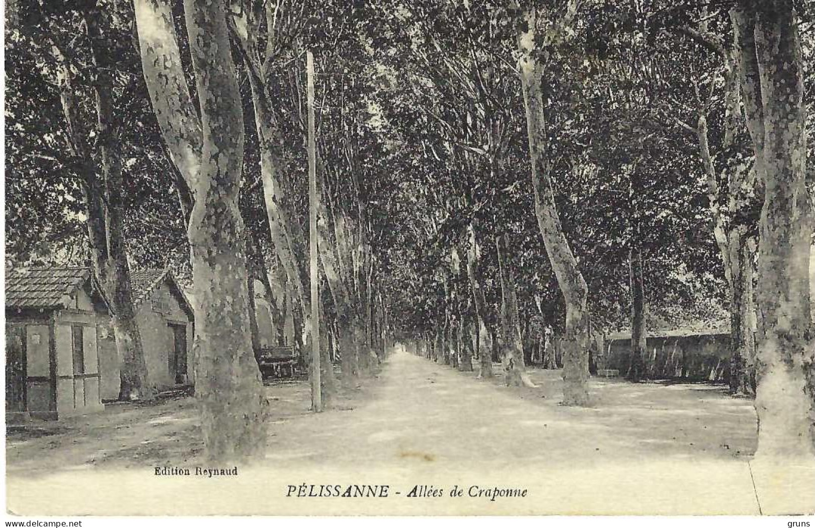 Pelissanne Allées De Craponne, Rare - Pelissanne