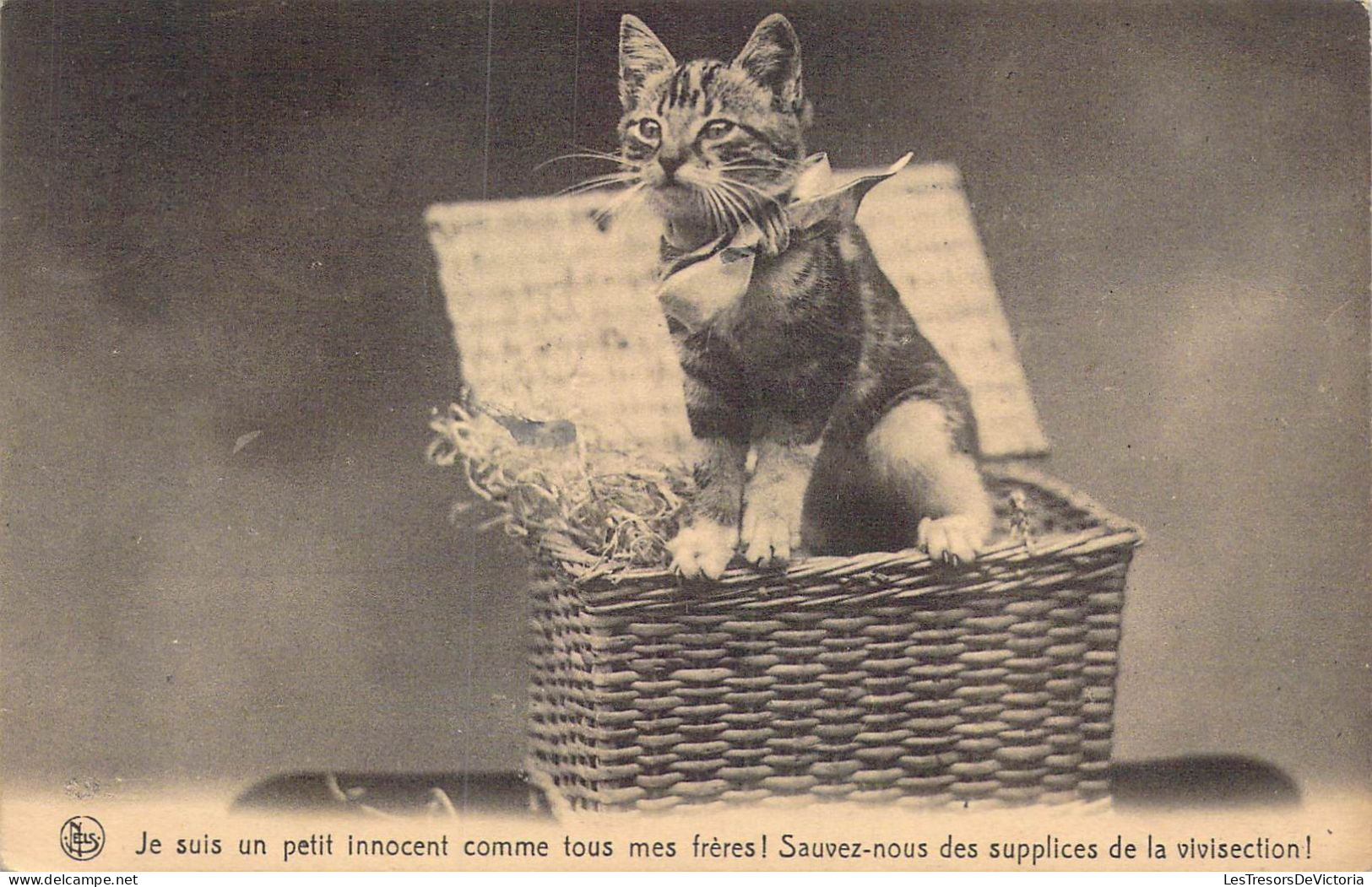 FANTAISIE - Je Suis Un Petit Innocent Comme Tous Mes Frères! Sauvez-nous Des Supplices De La.. - Carte Postale Ancienne - Autres & Non Classés