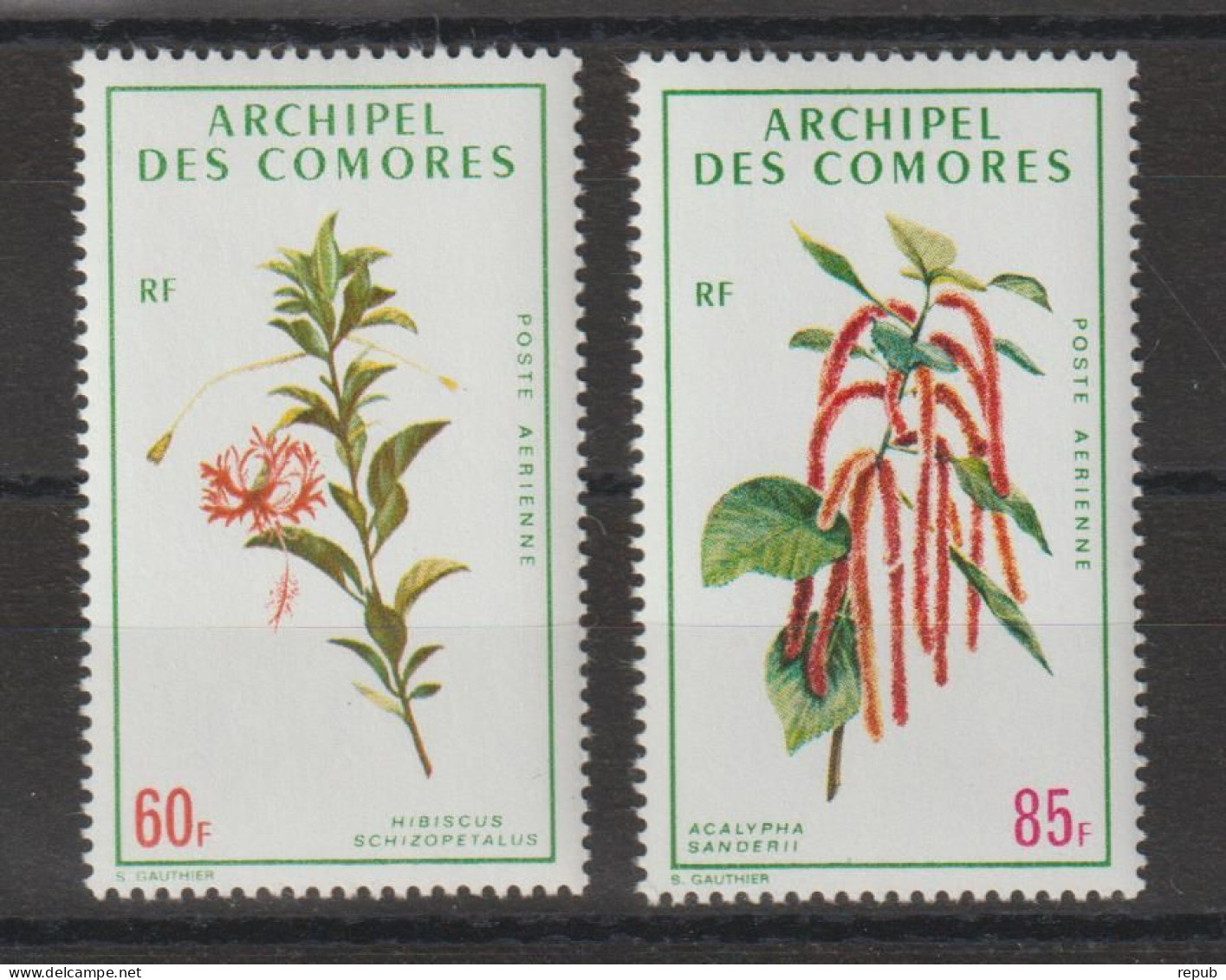 Comores 1971 Fleurs PA 37-38, 2 Val ** MNH - Poste Aérienne