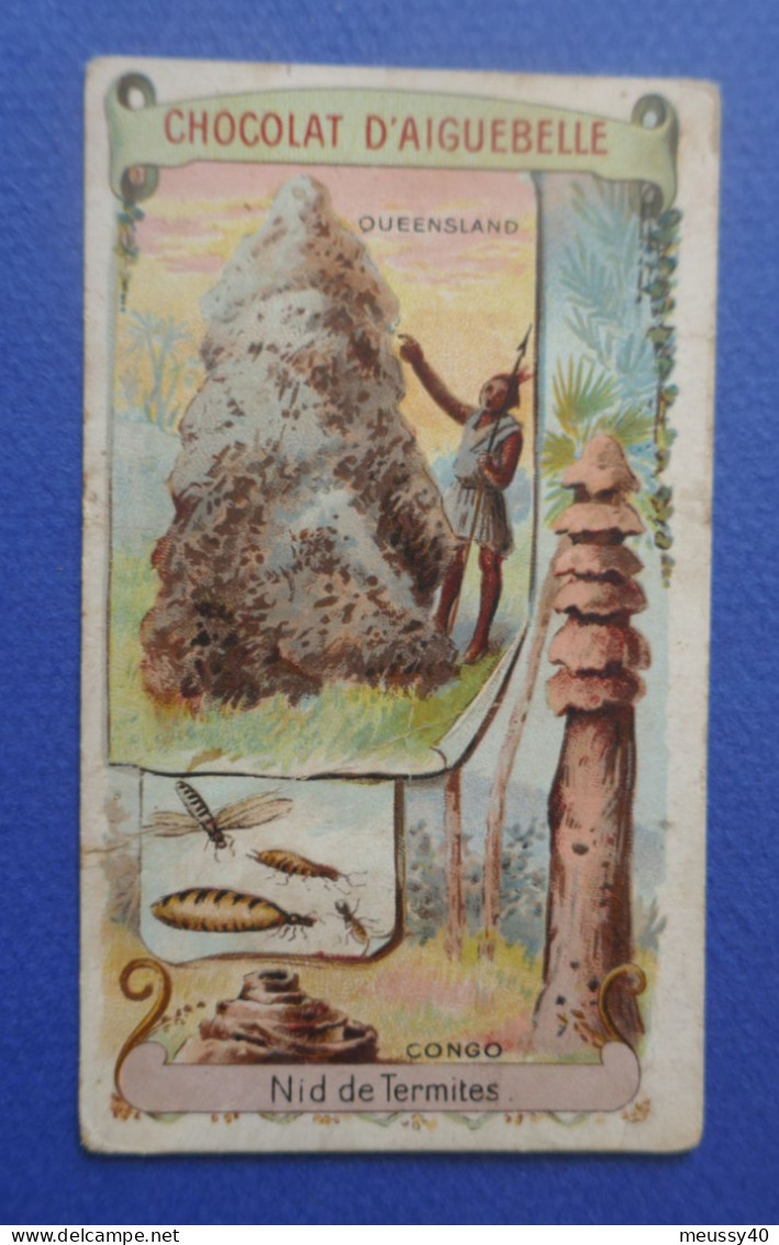 CHROMO  Aiguebelle. Les Nids     Nid De Termites  Congo   Queensland - Aiguebelle