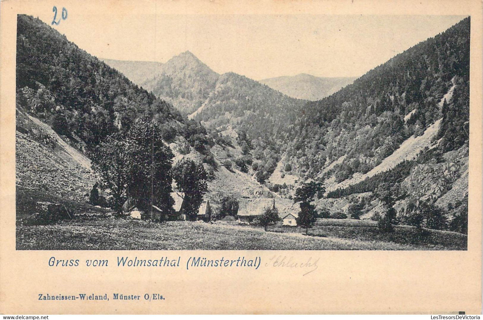 ALLEMAGNE - Munsterthal - Gruss Vom Wolmsathal - Carte Postale Ancienne - Münstertal