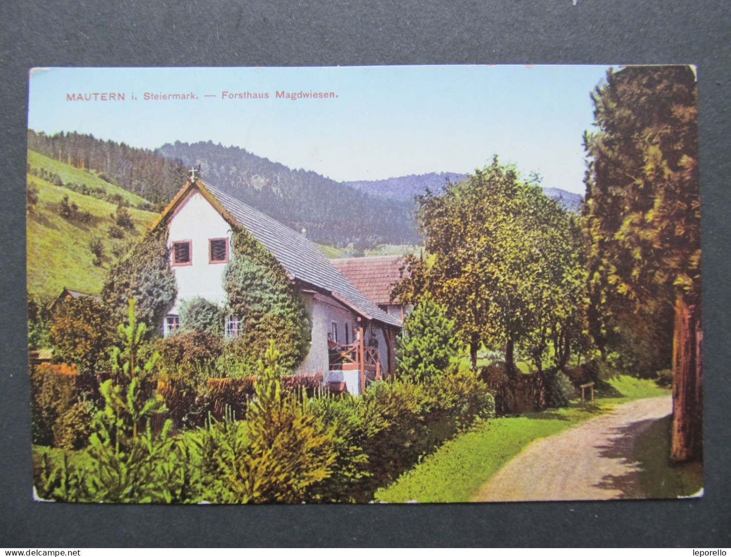 AK Mautern In Steiermark B. LEOBEN  Forsthaus Magdwiesen 1921 // D*55700 - Maria Lankowitz