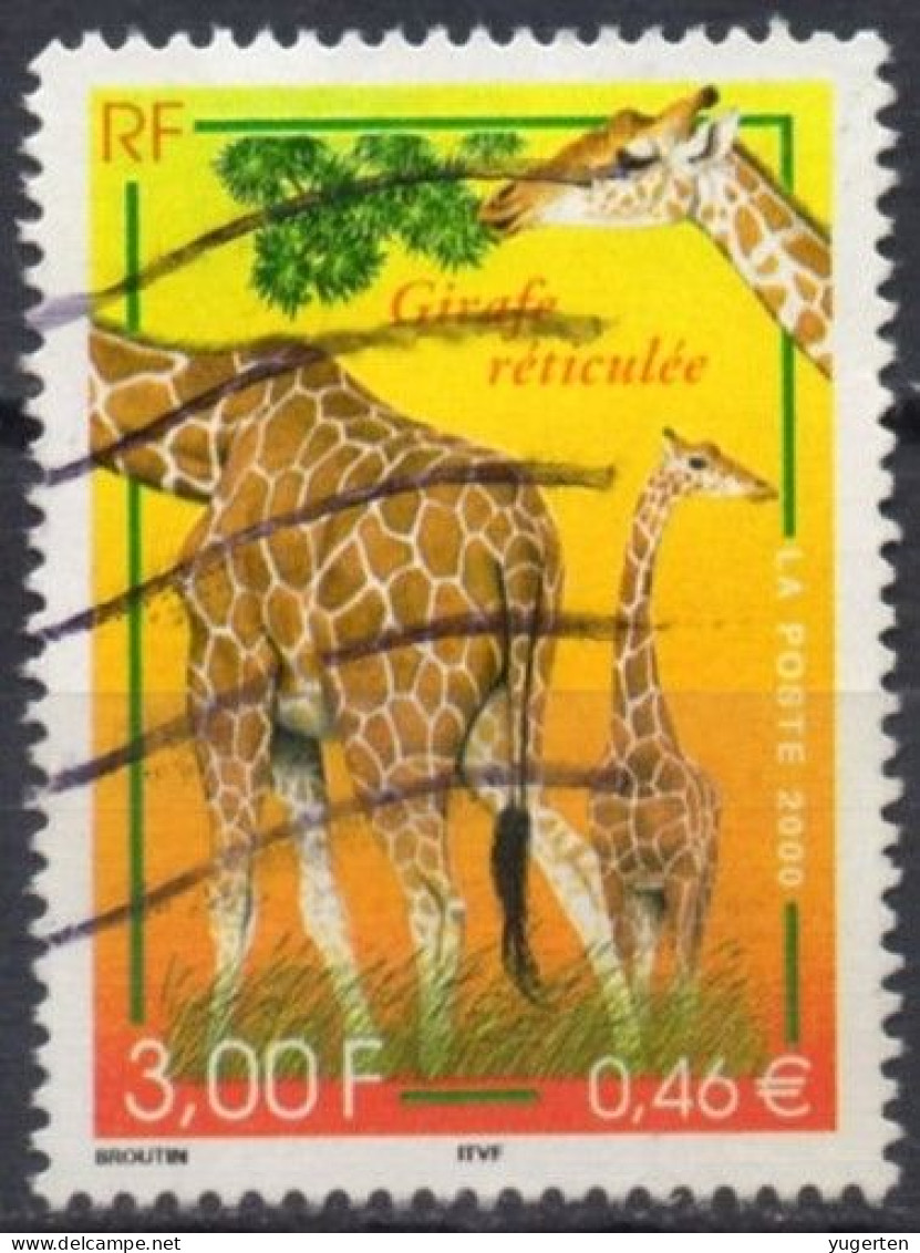 FRANCE 2000 - 1v - Used - Giraffes Giraffe Girafes Giraffen Girafe Giraffe Jirafa Jirafas - Mammals - Fauna - Jirafas