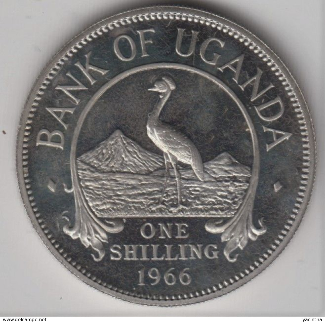 @Y@    1 Shilling   1966   Oeganda / Uganda        (3255)   Proof - Uganda