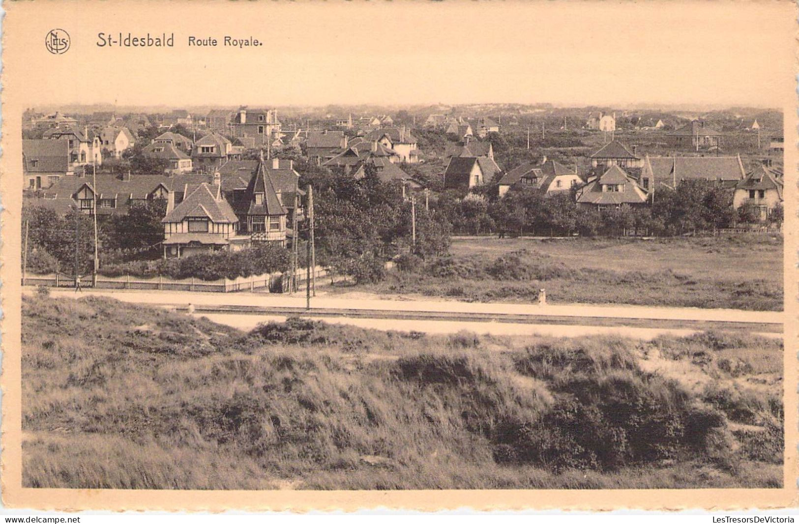 BELGIQUE - ST IDESBALD - Route Royale - Carte Postale Ancienne - Sonstige & Ohne Zuordnung