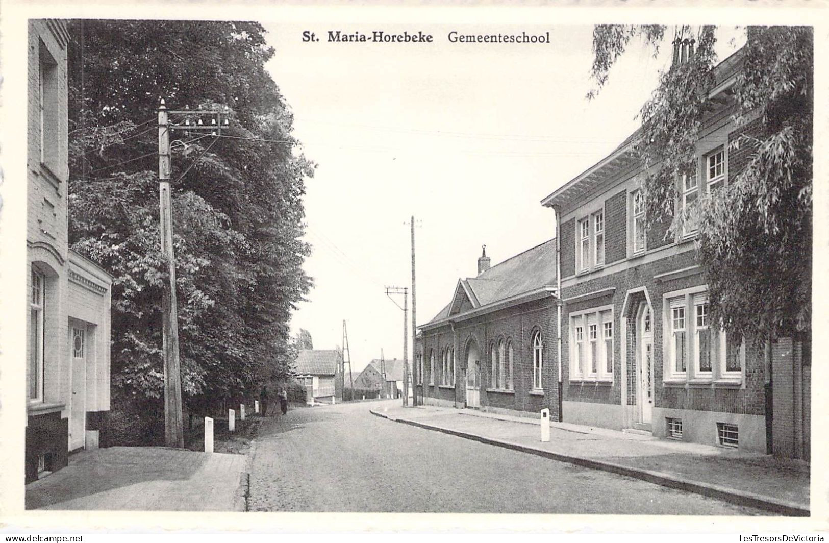 BELGIQUE - ST MARIA HOREBEKE - Gemeenteschool - Carte Postale Ancienne - Other & Unclassified